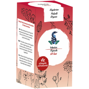 Tribulus (Királydinnye)